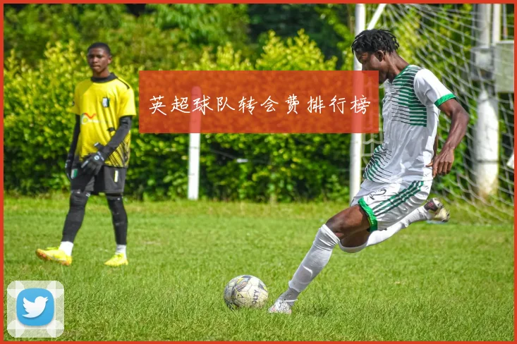 英超球队转会费排行榜
